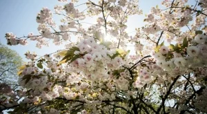 Прогноза за времето за уикенда (23 - 24 март)