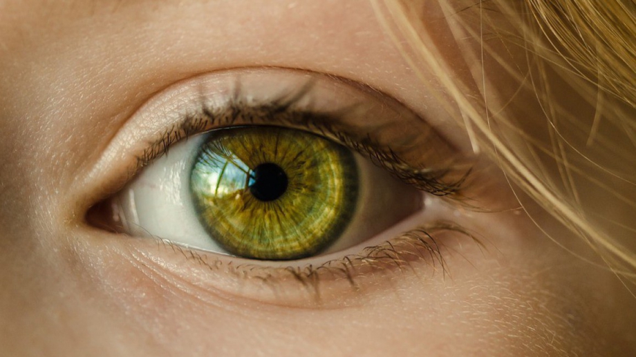 Има ли връзка между цвета на очите заболеваемостта и продължителността