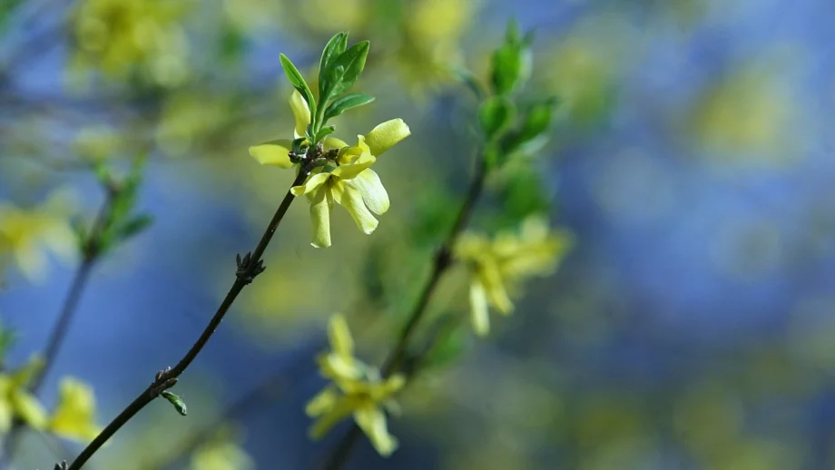 Какво ще бъде времето през април?