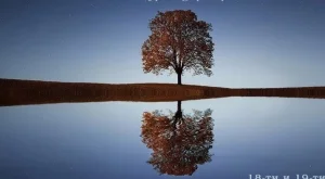 Лекуване на наследствени модели с Андрю Фретуел   