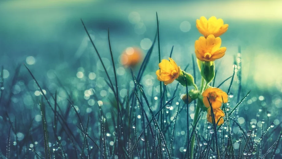 Времето през уикенда (11 - 12 май)