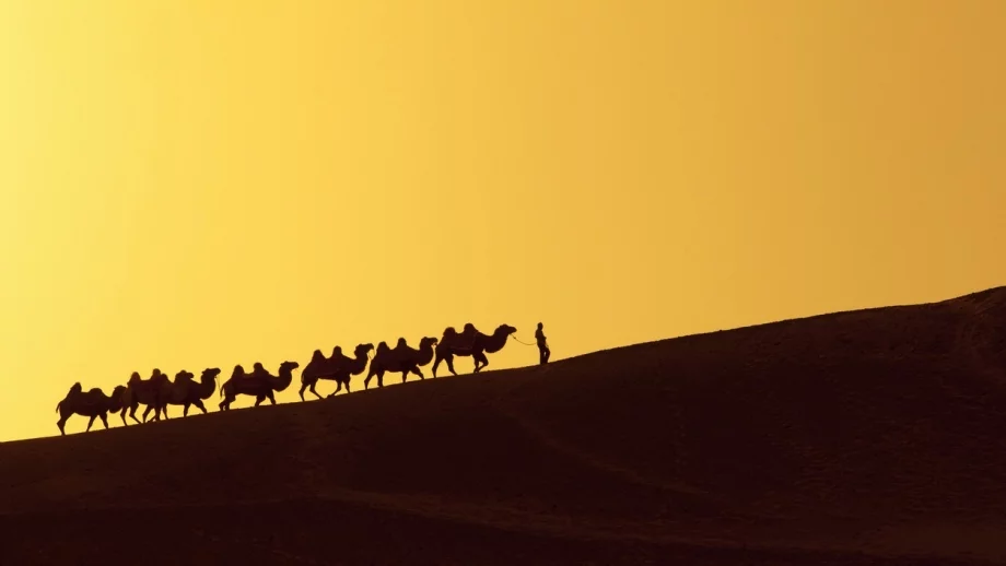 Новият Път на коприната трябва да отвори очите на ЕС