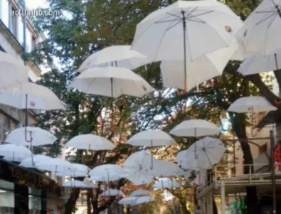 Връщат чадърите на главната улица в Благоевград
