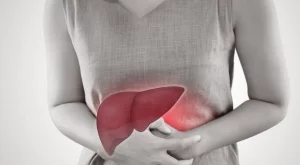 Всеки трети българин не знае къде се намира черният дроб в човешкото тяло