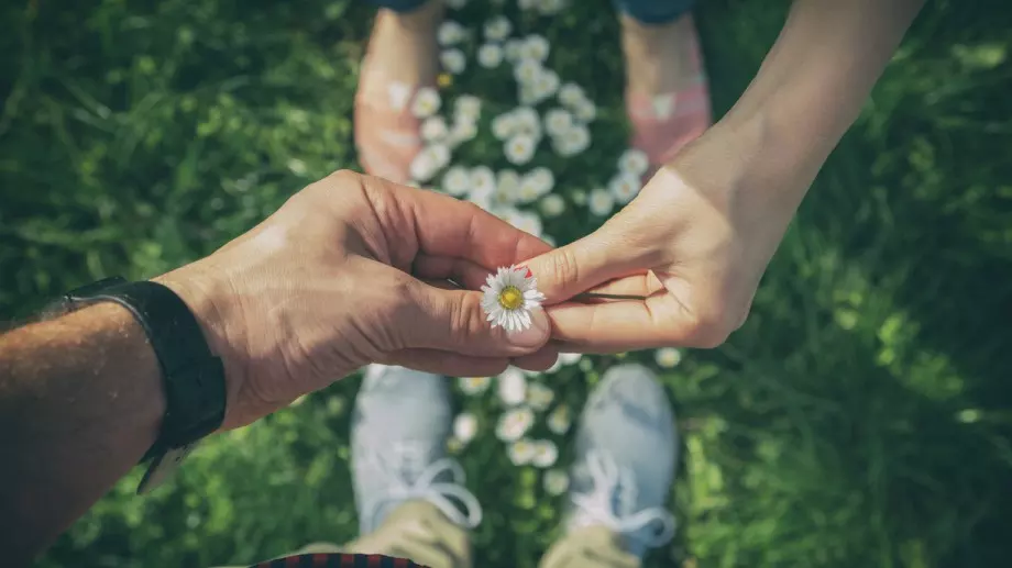 Късметче за всяка зодия за 6 юни