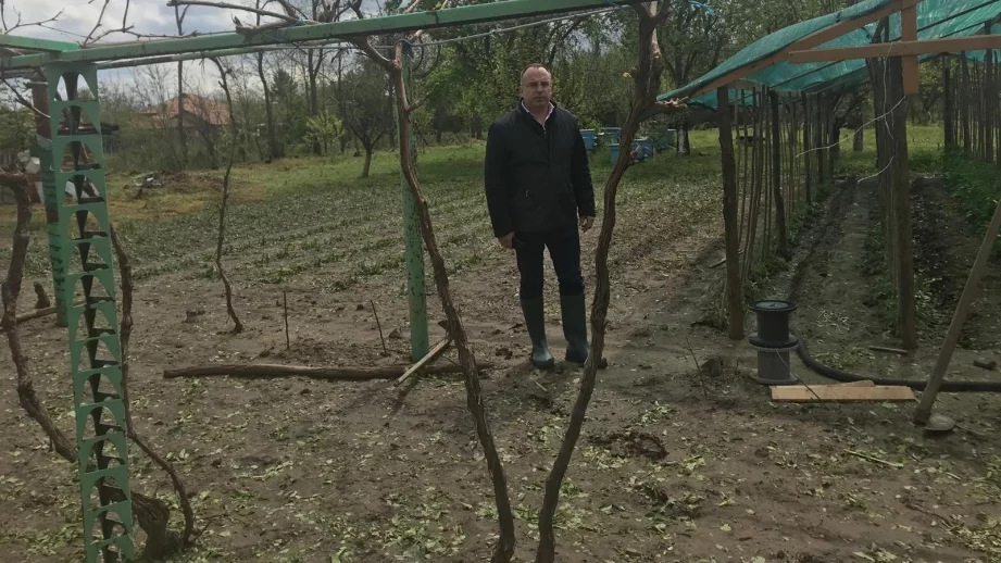 Порожанов: Ще има обезщетения за засегнатите от градушката