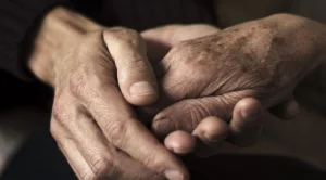 Трогателно! Добри дела по време на пандемия (СНИМКИ)