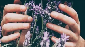 3 Звезди и техните избрани парфюми