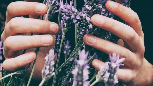 3 Звезди и техните избрани парфюми