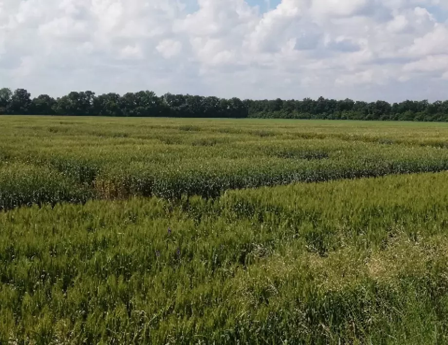 Свада за земя в Турция доведе до смъртта на девет души 