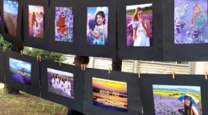 Шестият национален фестивал на лавандулата ще се проведе на Еньовден