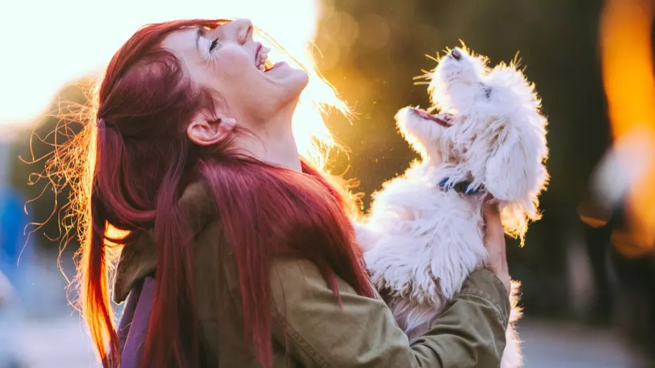 Виц за 3 април 2023: Иванчо в час по география