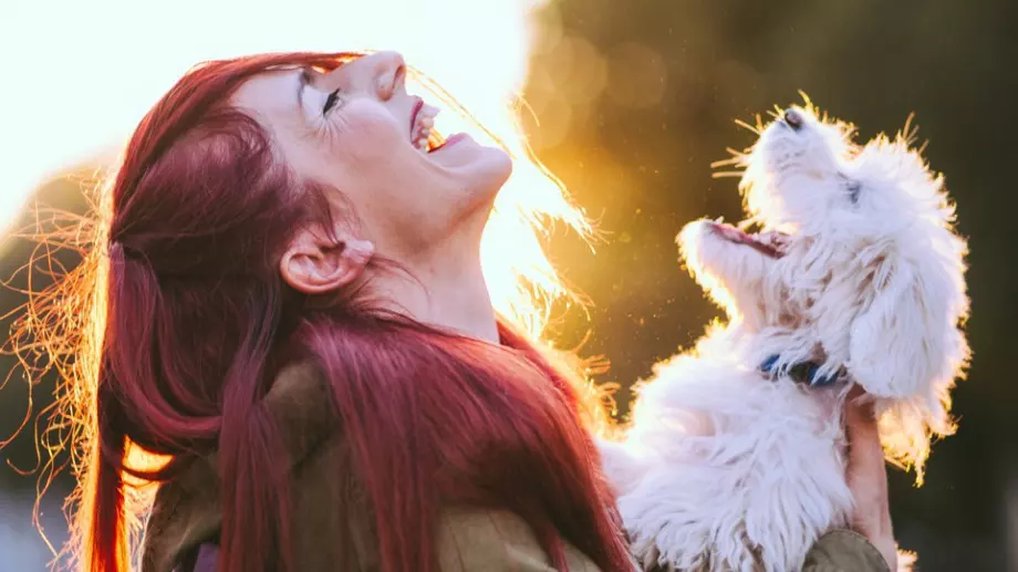 Вечерен виц: Дядо продава дини