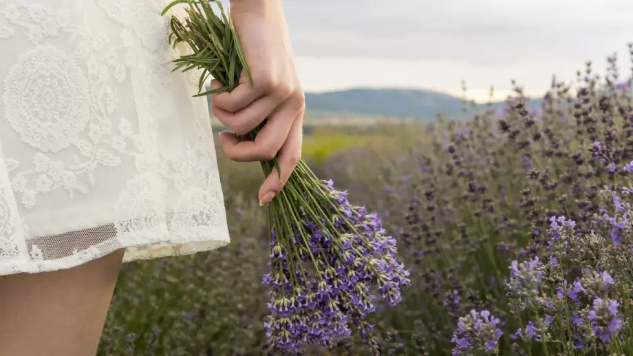 Обичаи и традиции на Еньовден