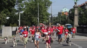 Десетки хиляди българи се включиха в Нестле за Живей Активно! 2019 