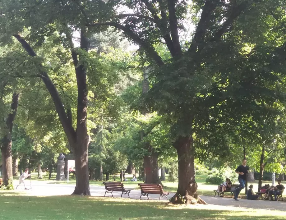 Няма да има ОВОС на проекта за ремонт на Борисовата градина