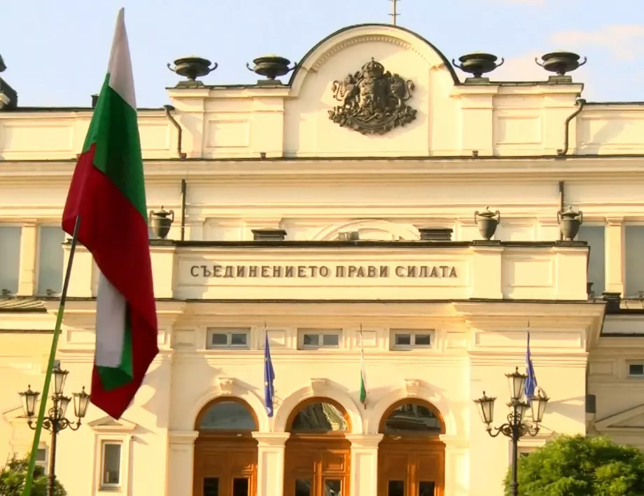 Българският избирател - опит за портрет