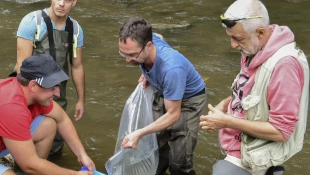 25 000 балкански пъстърви плуват във водите на Ерма благодарение на Лидл България