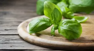 Ето кои хора трябва да се откажат от босилека, магданоза и спанака