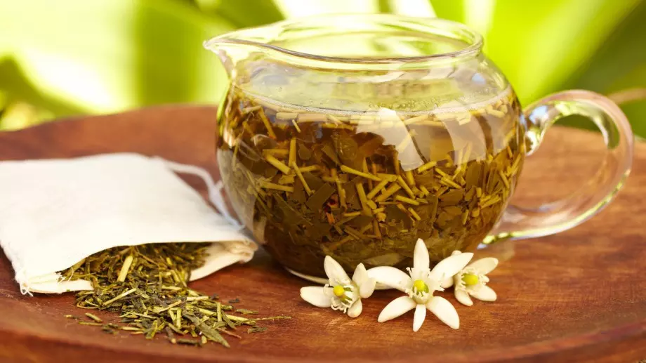 Имате ли салвия у дома, не ви трябва лекар!