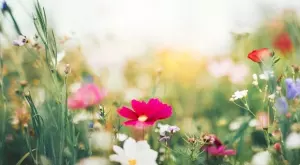 Прогноза за времето за юни 2020