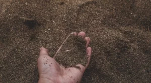 Предсеитбена обработка на почвата - как и защо се прави?