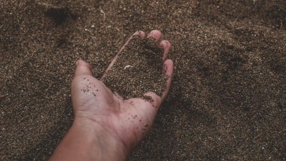 Предсеитбена обработка на почвата - как и защо се прави?