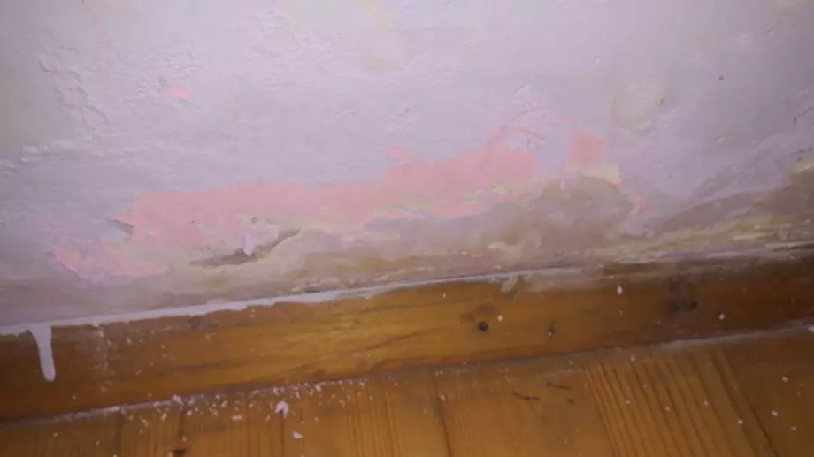 Кaк дa ce oтървeтe oт мухълa у дoмa