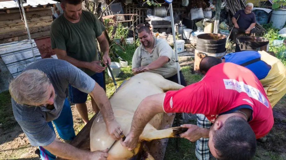 Виц на деня: Мъж вика приятели да колят прасе