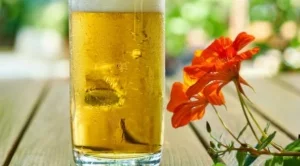 Българска бира с екстракт от цветя е богата на антиоксиданти 