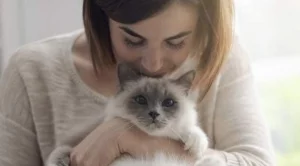 Чудни цитати за котките 