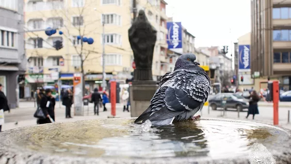 Монументално