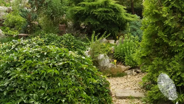 Райската градина