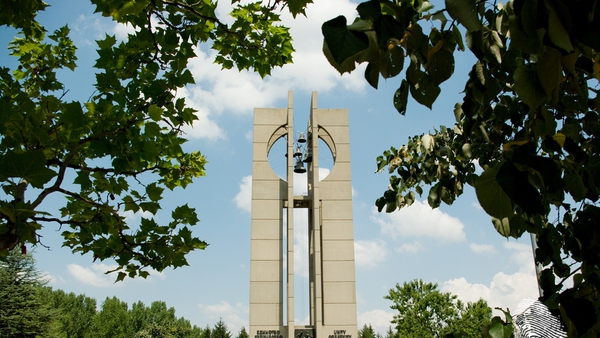 Софийски евъргрийн