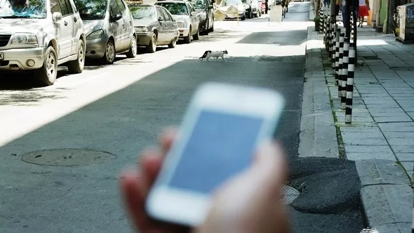 Градска мобилност