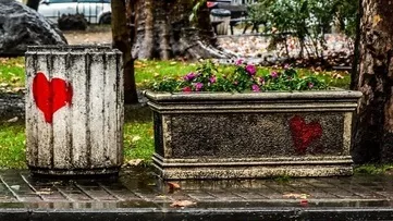 Кого можеш да срещнеш в парка?