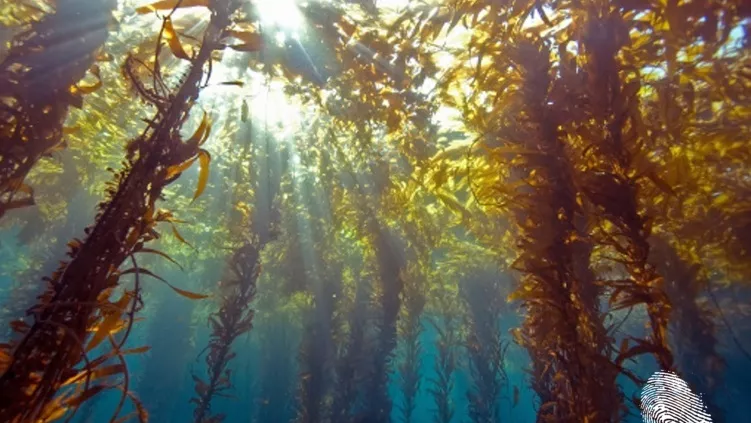 Новият Ренесанс е факт