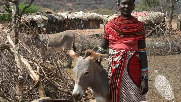 Поздрави от Макутано, Кения