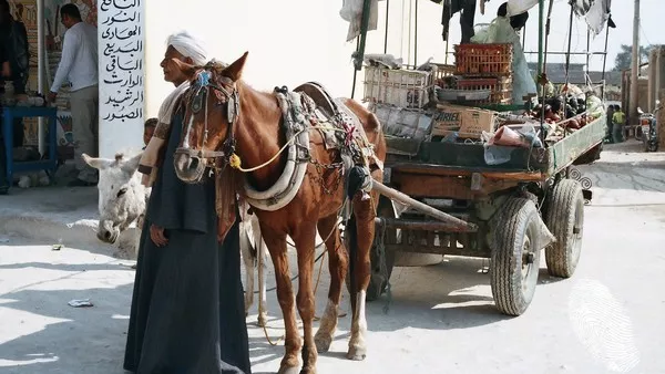 Поздрави от Долината на царете