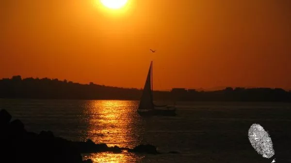 Поздрави от Острова на съкровищата