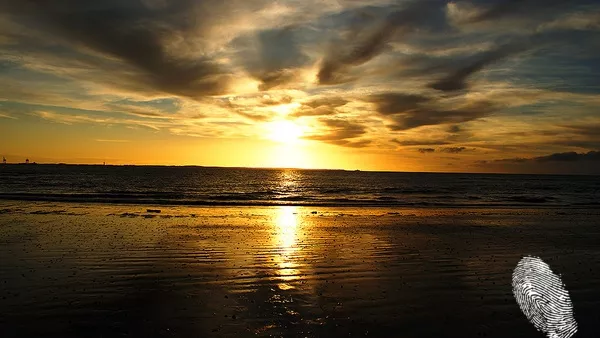 Поздрави от Триняк, Франция