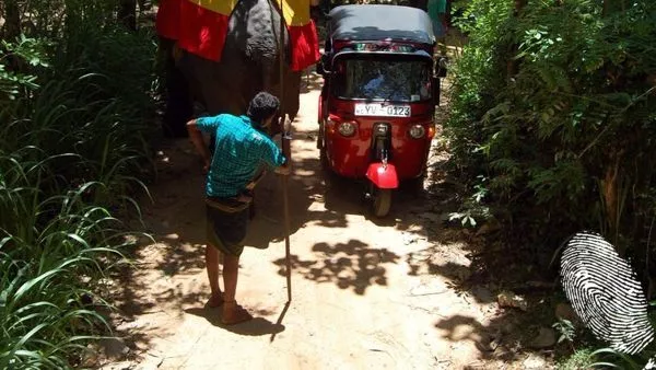 Поздрави от Шри Ланка