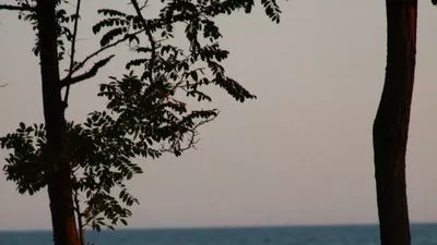 Поздрави от селото