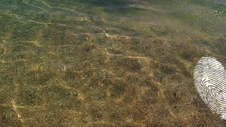 Поздрави от Градина (ден 3)