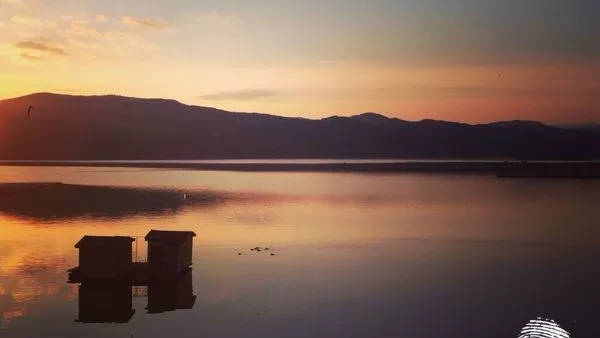 Поздрави от брега