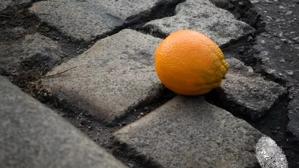 Портокалите