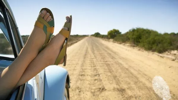 Живей на Maxx