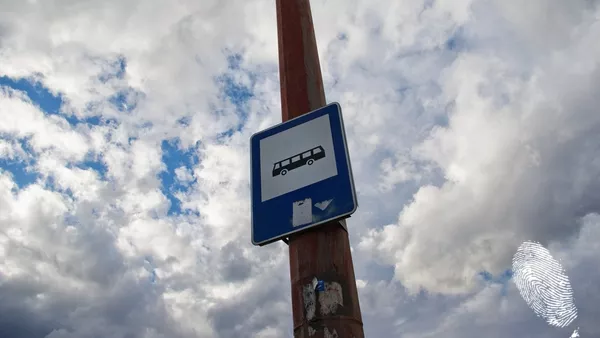 Момичето с бенката