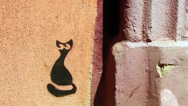 Мъркащата интелигенция на София