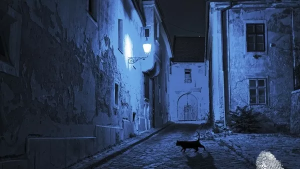 Нощна стража